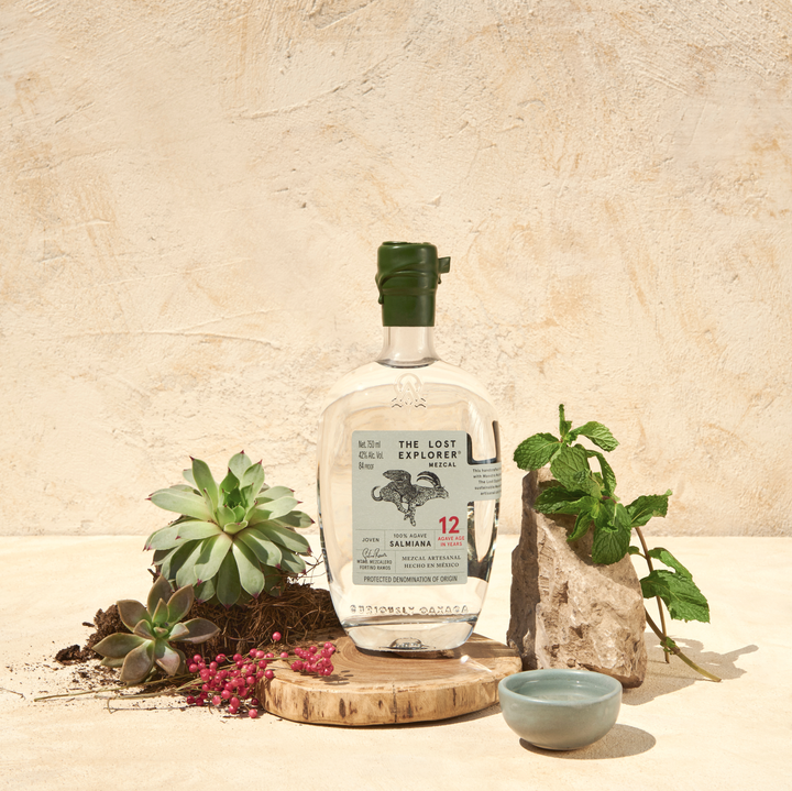 MEZCAL THE LOST EXPLORER  SALMIANA  12 ročný